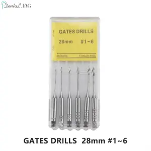 S1b8bc247c9de4ec4a1b80f25eee5fe17x 1