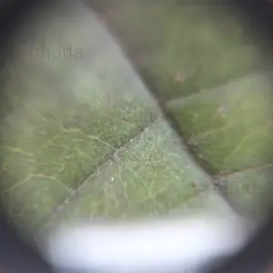 Cylindrical Acrylic Film Slide Viewer J3 10 S27a8c2c1774347de8597f8a586e17d2fk