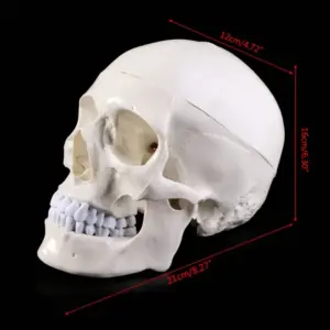 S2b5a5a6fbcb34e26bc98ff9e421af5b3u