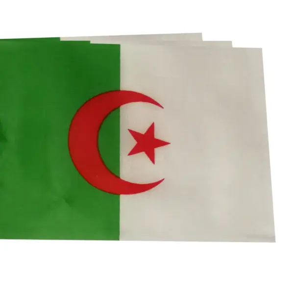 Algerian Handheld Flag Set 14x21cm - Image 4