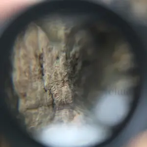 Cylindrical Acrylic Film Slide Viewer J3 11 S3858bbf5a37d45cbb02905817eee4dbdP