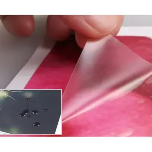 S3e9d1c560465494f89a0de6ec681dcc1m