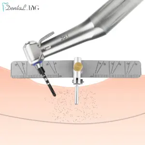 S5b6369a10ab342b98205f10710a3cfb18