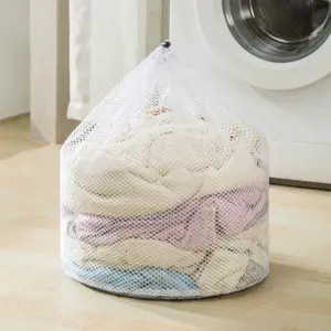 S5cb5d46c588a4b1e97cfe15bce54549bE 2