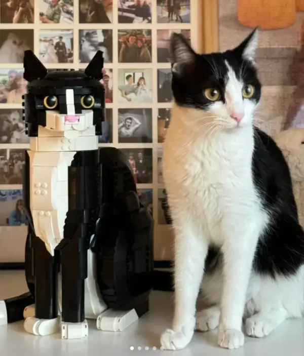 2025 Tuxedo Cat Building Blocks Set - Image 5