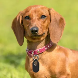 S7393f2703701461a89da5d31589c9904O