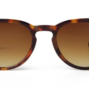 Transparent Rivet Round Sunglasses for Women Men 21 S7f6e0d6a7f8d4ec48489c97b55ad9bddg