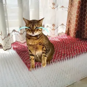 S896fba07124d4dda8f17f6c5d48155cdJ