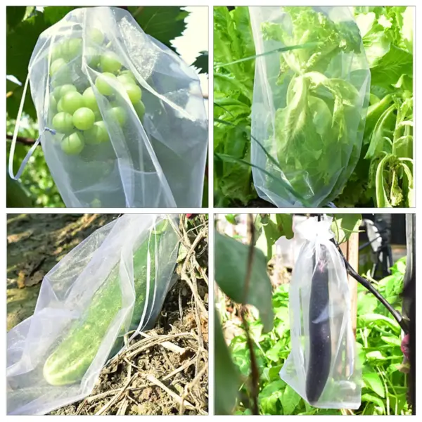 Grapes & Fruit Grow Bags Mesh with Drawstring - Image 3