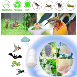 S9880edfa312b48a0a3927d7daa6162f3J 2