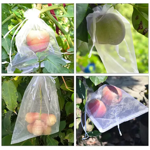 Grapes & Fruit Grow Bags Mesh with Drawstring - Image 2