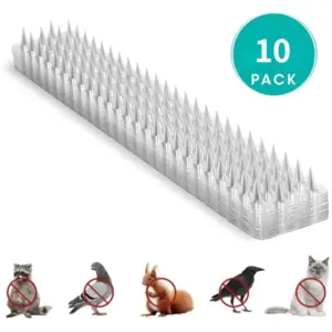 Sc0647b52fdaa42abb4883c9855412123r