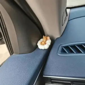 Sc3a8568008dd45369d91caa2431b733dK