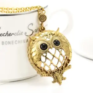 Owl Pendant Necklace with Magnifying Glass 7 Scf56c0d834214a26be857aac3c059f57d
