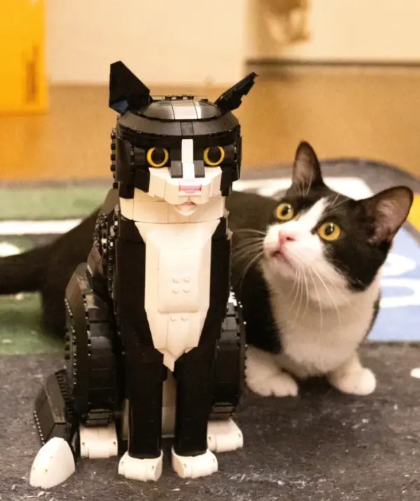 2025 Tuxedo Cat Building Blocks Set - Image 3
