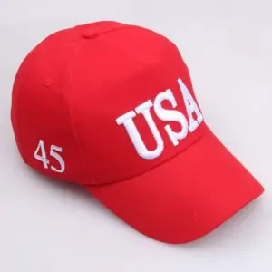 Red Presidential Election 3D Embroidered Baseball Cap 11 Sd40e34affd9b4fa28947ccaa329c1dbce