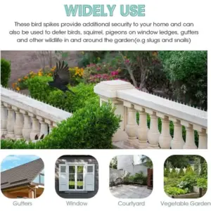 Sd6c09e7d332e4ad987f14ba6473c8350W