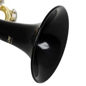 Gold-Plated Bb Trumpet with Case and Mouthpiece 19 Sdc6a287ab6954404b8bbeef5cbd37517R