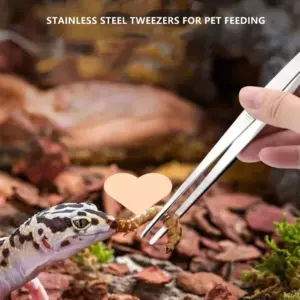 Sdd820fbc13f548a1b3809be94a1d18ff0