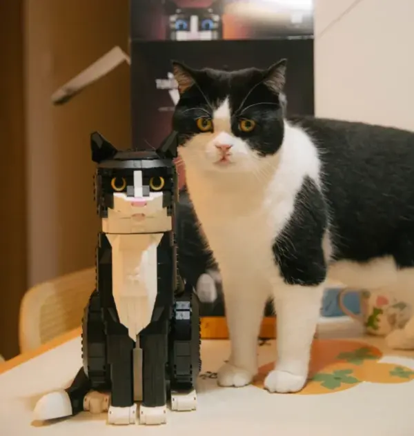2025 Tuxedo Cat Building Blocks Set - Image 6