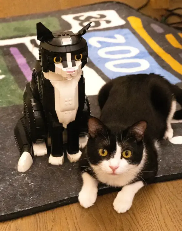 2025 Tuxedo Cat Building Blocks Set - Image 4