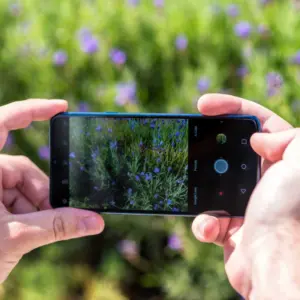 Se3f0d8f31a4d4d67957fbb448aff6293a