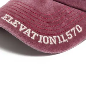 Se58cfa6507804d14a68954be95684b39u