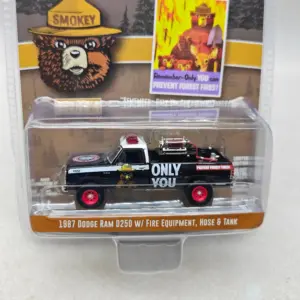 Smokey Bear Series 4 Die-Cast Vehicle 1:64 8 Se5fd287086894201abc84ae6f676fc316