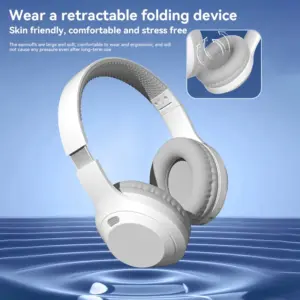 Sec1e2f3b865c4010a12079c7b921cd69v