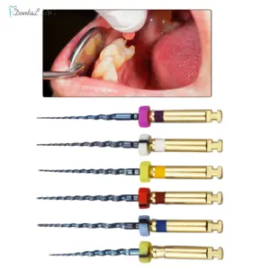 Sede7d87bb00a40cb91036de603633fa7P 1