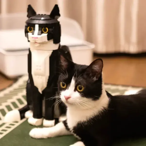 2025 Tuxedo Cat Building Blocks Set - Image 2