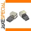 USB 2.0 9-Pin Dual Female Adapter Connector