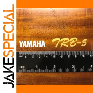 3Pcs Yamaha TRB-5 Guitar Headstock Decals