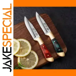 Portable Stainless Steel Sharp Fruit Knife