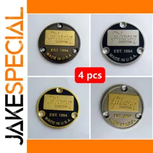 Les Paul Toggle Switch Back Plate Set of 4
