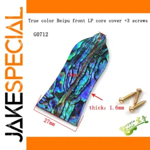 Iridescent Acoustic Guitar Truss Rod Cover LP SG