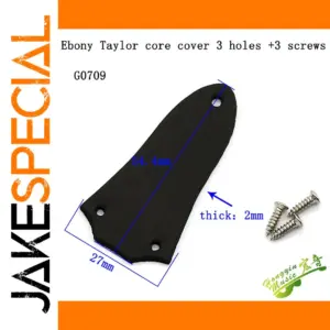 Ebony Acoustic Guitar Truss Rod Cover with Screws