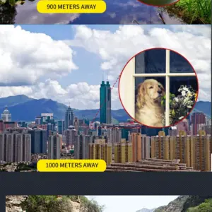 100x22 HD Powerful Binoculars 10X Magnification 25 H21f94ed0533647f6a4557d55d5f8374aF