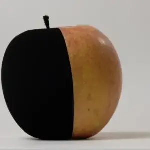 S0b4b9b8bc8cc4107ab80d835e4c27fe4Y