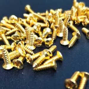 50 Electric Bass Guitar Pickguard Screws Set 11 S1e1fe98caf334e52866a12eca0b8bfe3r
