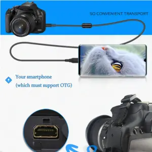 S225fb74421864a3dba5b7aa0e97635b4w