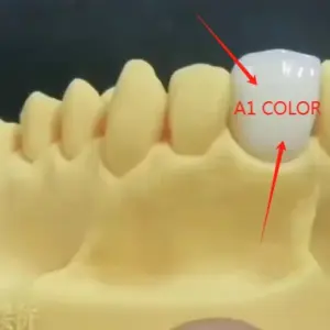 S29921e32c0544e6aa5ff7062832a521aY