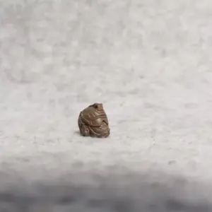 1:18 Scale Military Soldier Head Collection 12 S2cc71c208320477f8e7a9cce4de0bff32