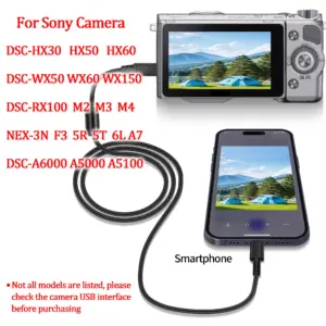 S2f696f701ee0497aa5d9fbee29a4fe7cS