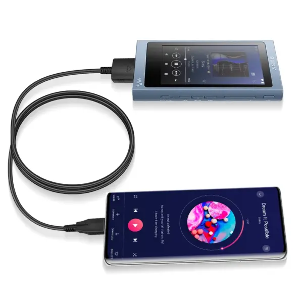 Sony Walkman Audio Decoding Cable 1.5m Type-C - Image 4