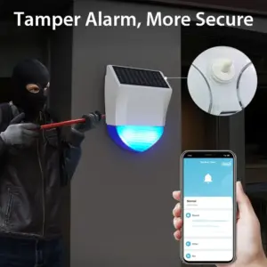 S585d7bc62b8047759c2748c250919aff8