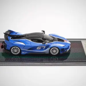Limited Edition FXX-K-EVO 1:64 Scale Model 24 S5cb7345354734a6abc4157b5ec1b6372C