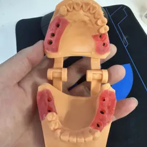 Dental Gum Resin for 3D Printing 200G 500G 4 S74265506b7844cbab01f7c8595ab3bf4p