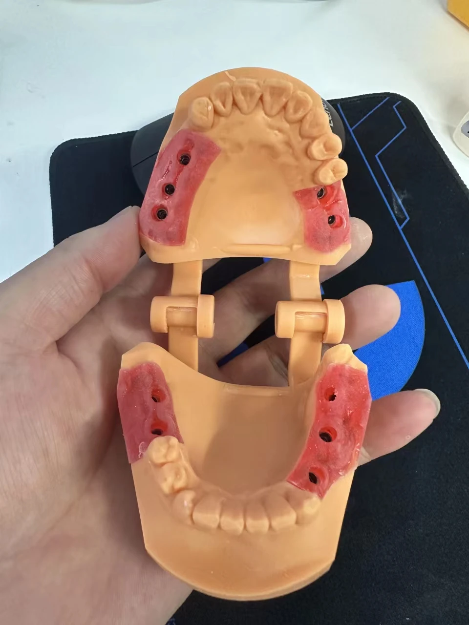 Dental Gum Resin for 3D Printing 200G 500G 2 Dental Gum Resin for 3D Printing 200G 500G - Image 2