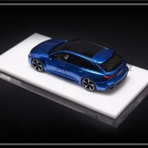 Audi RS6 C8 1:64 Scale Diecast Model 36 Sa9e59c64f4e14d3b8a323f9d635cd710x